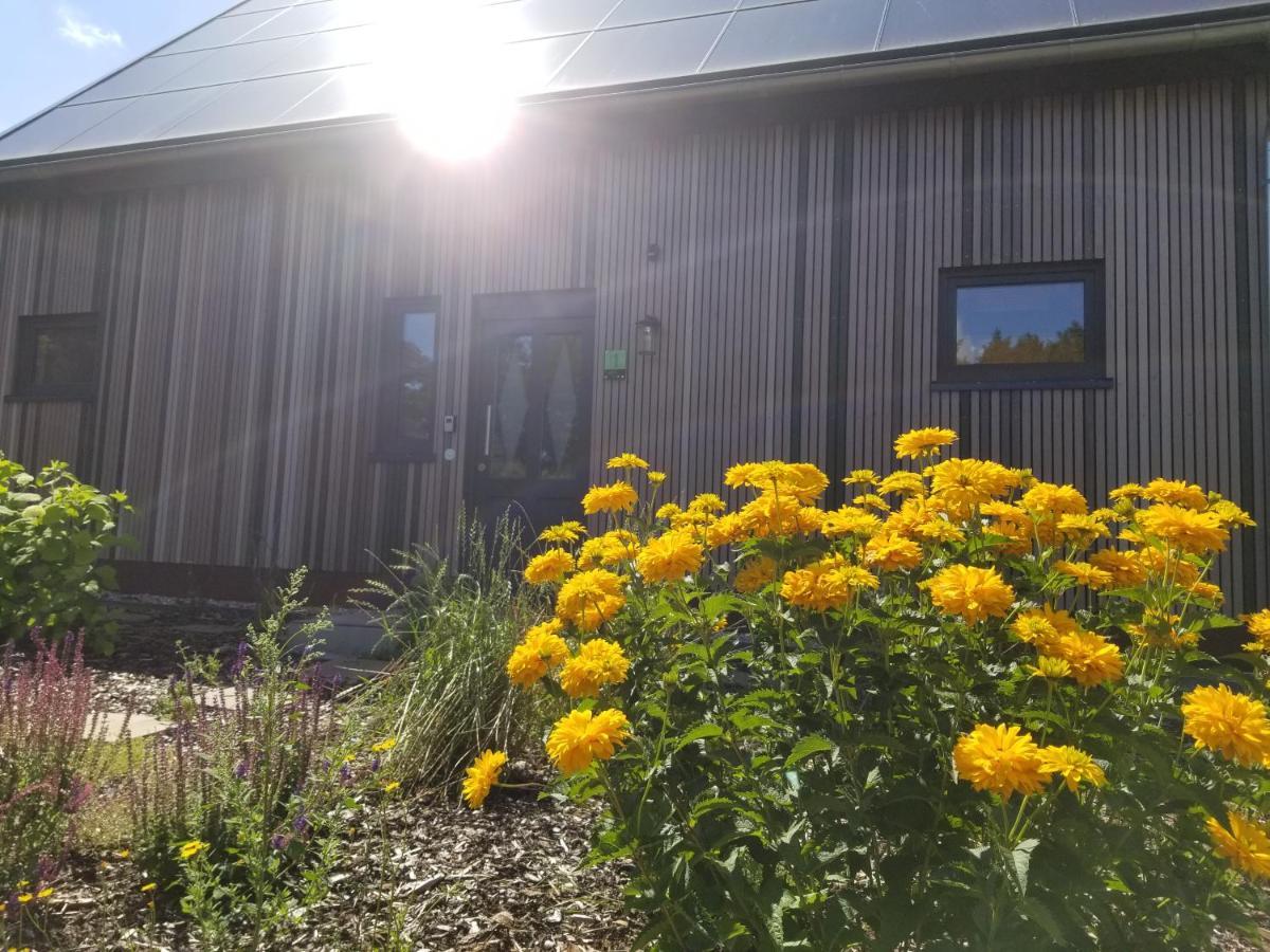 Haus Am See Rieste Экстерьер фото